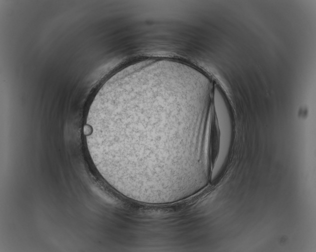 X0000091980533200710041111