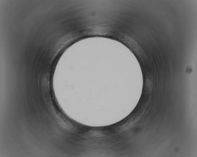 X0000091980534200710041111