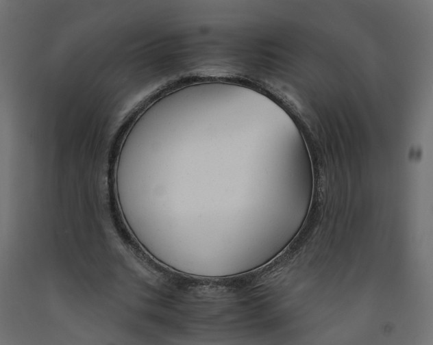 X0000091980535200710041111