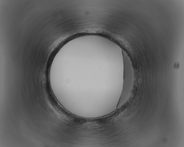 X0000091980536200710041111