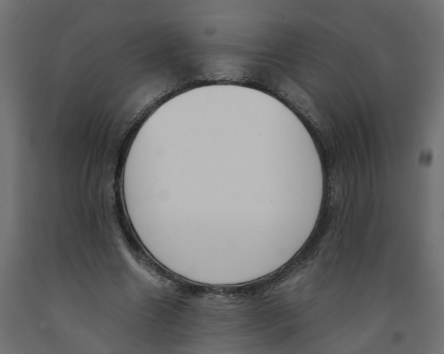 X0000091980538200710041111