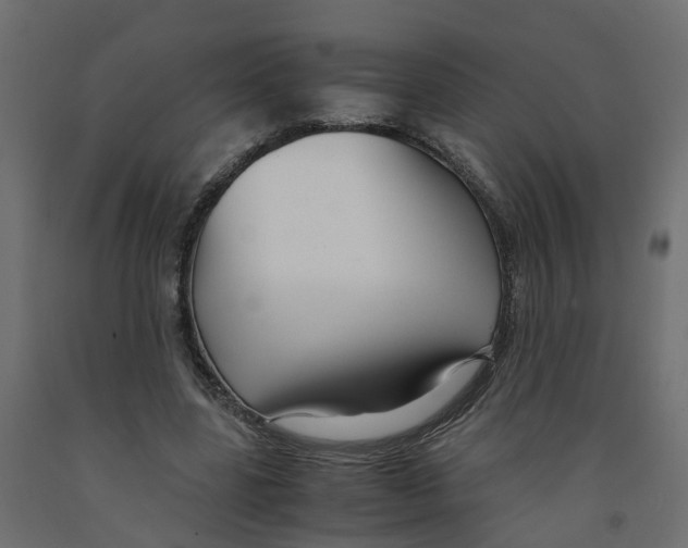 X0000091980539200710041111