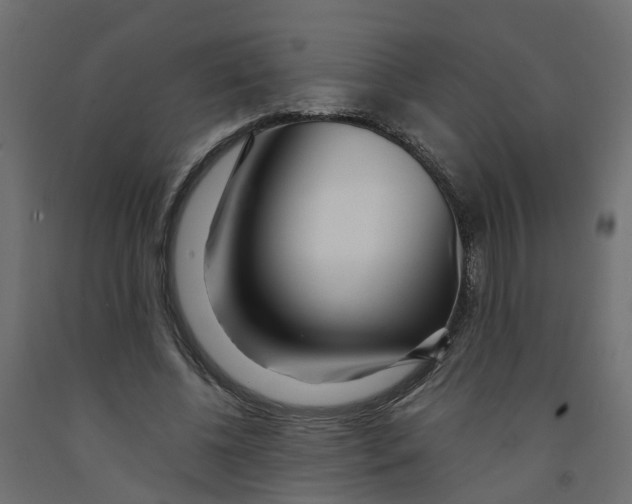 X0000091980540200710041111