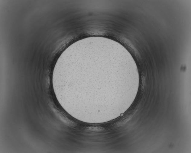 X0000091980541200710041111