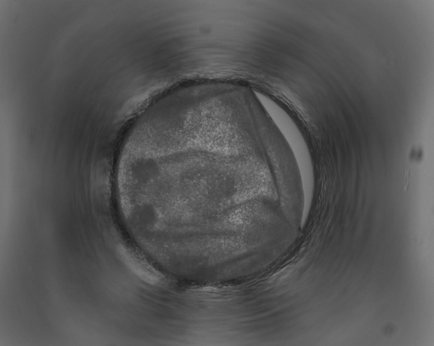 X0000091980542200710041111