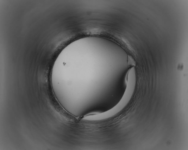 X0000091980543200710041111