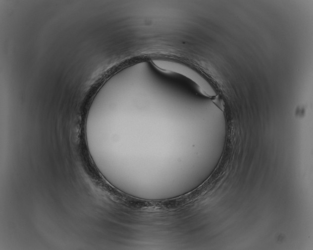 X0000091980544200710041111