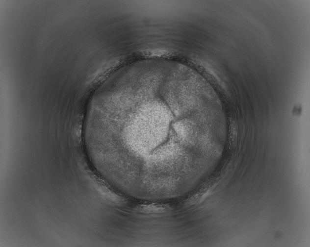 X0000091980545200710041111