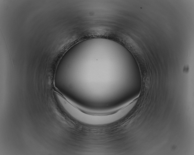 X0000091980546200710041111