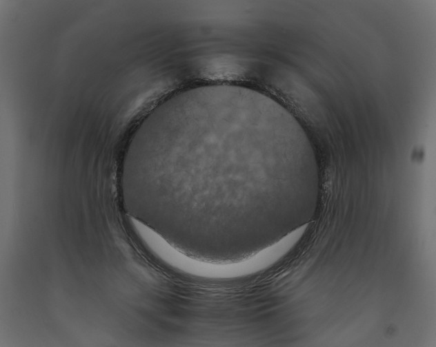 X0000091980547200710041111