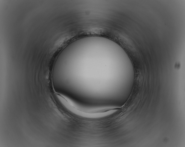 X0000091980548200710041111