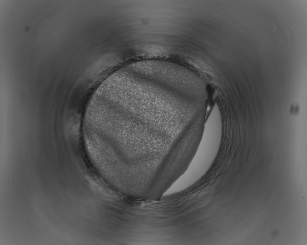 X0000091980550200710041111
