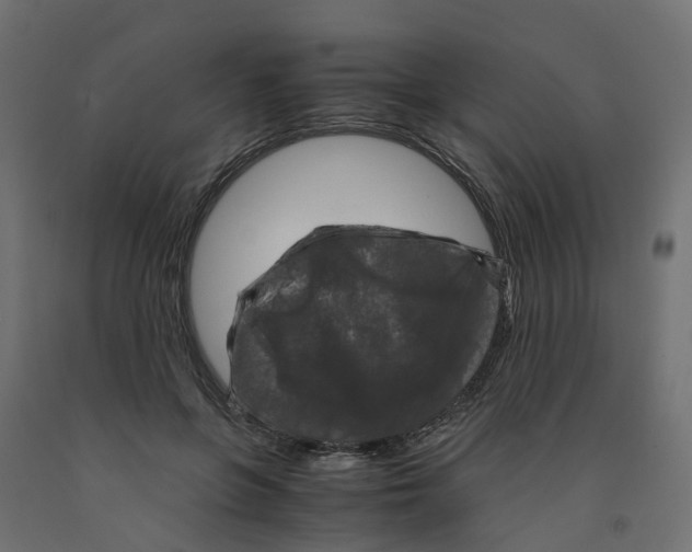 X0000091980551200710041111