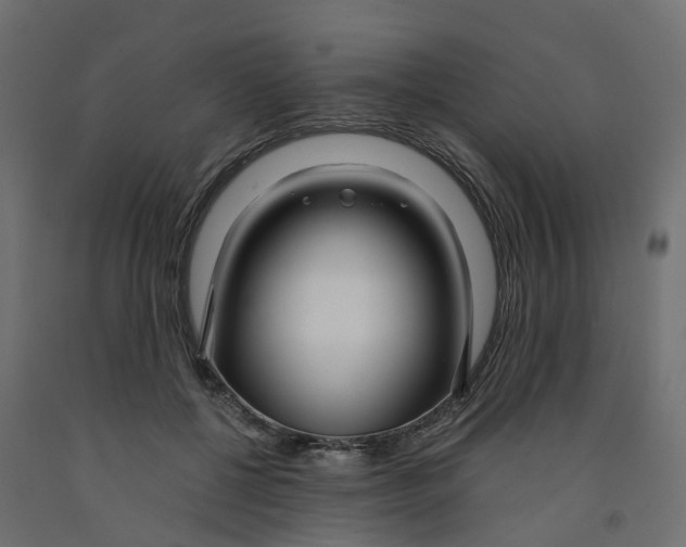 X0000091980552200710041112