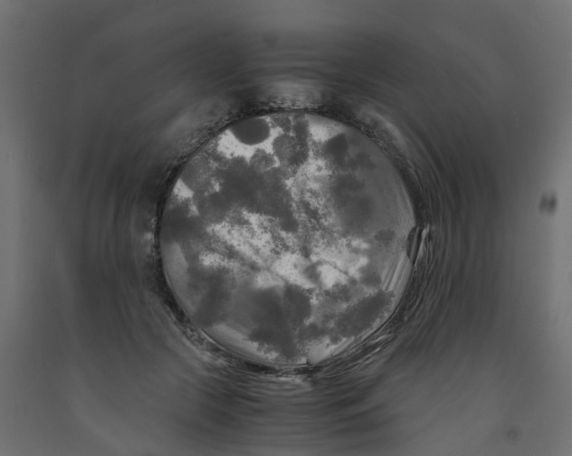 X0000091980553200710041112