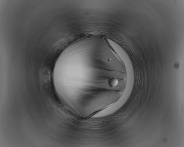 X0000091980555200710041112