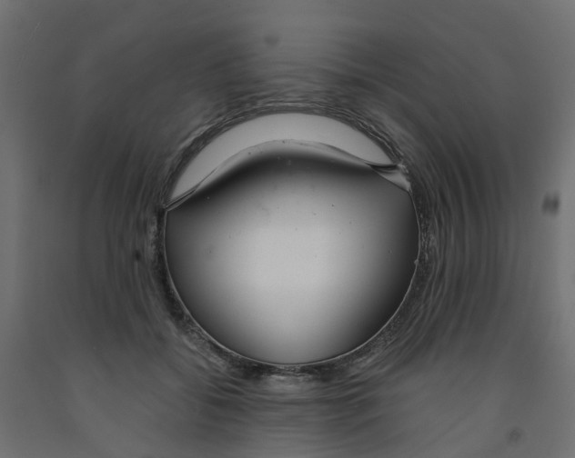 X0000091980556200710041112