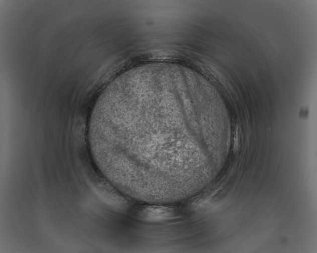 X0000091980557200710041112