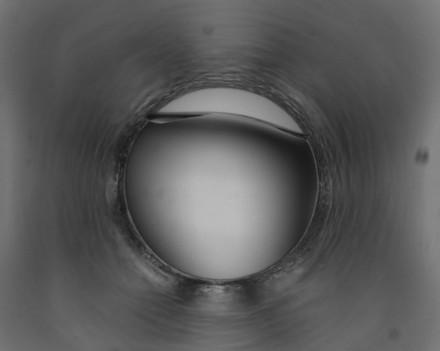 X0000091980558200710041112