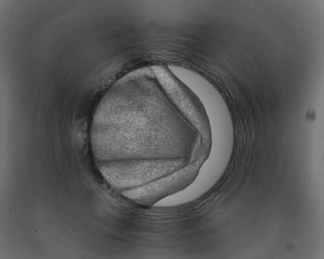 X0000091980559200710041112