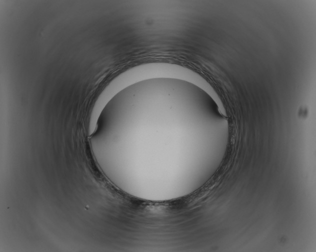 X0000091980560200710041112