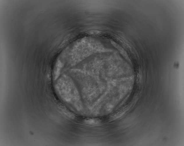 X0000091980561200710041112
