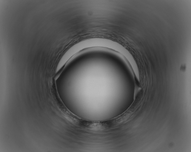 X0000091980562200710041112