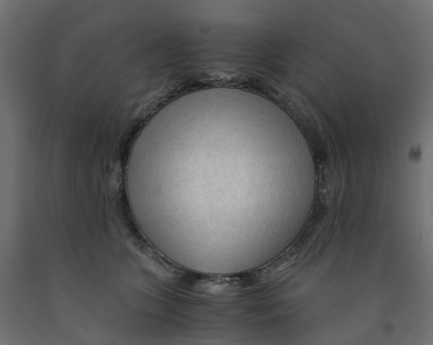 X0000091980563200710041112