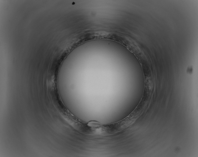 X0000091980564200710041112