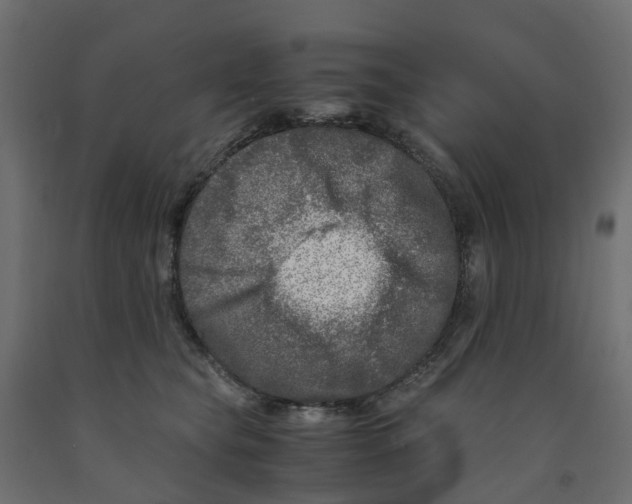 X0000091980565200710041112