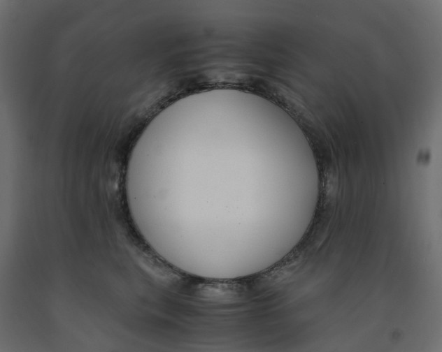 X0000091980567200710041112