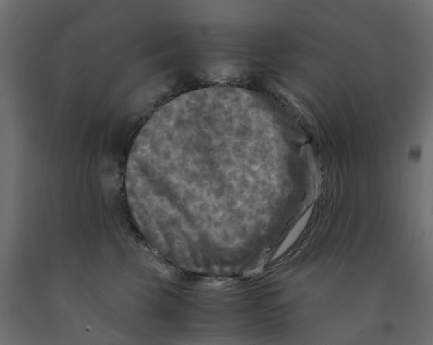 X0000091980569200710041112