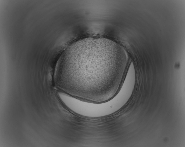 X0000091980570200710041112