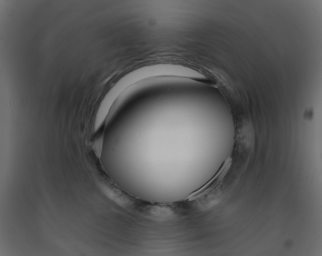 X0000091980572200710041112