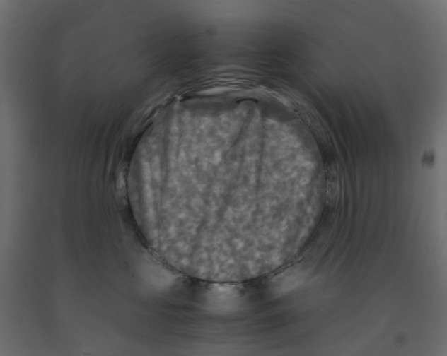 X0000091980573200710041112