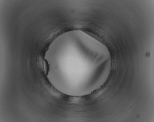 X0000091980575200710041112