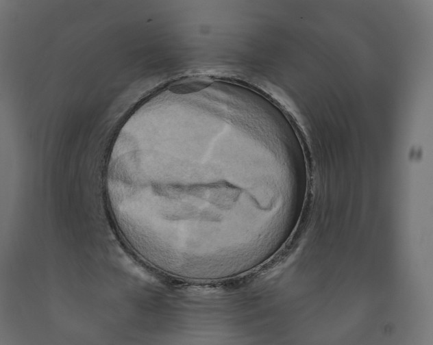 X0000091980577200710041111