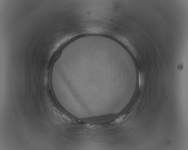X0000091980579200710041111