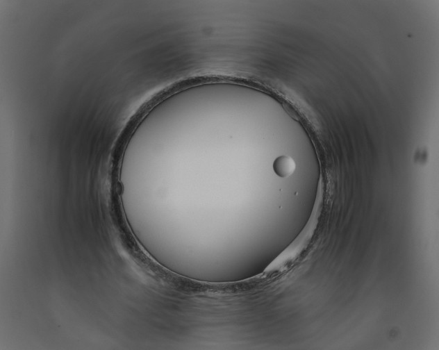 X0000091980580200710041111