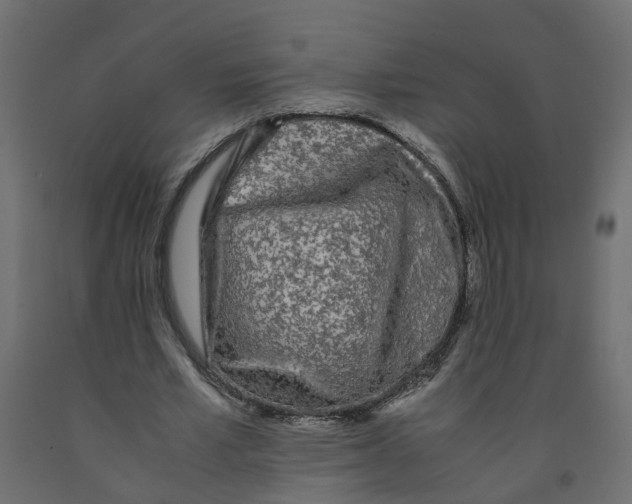 X0000091980581200710041111