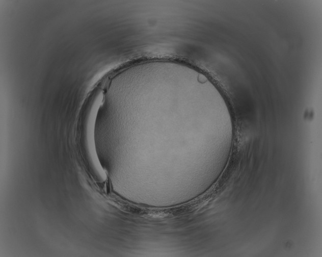 X0000091980583200710041111