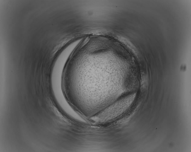 X0000091980585200710041111