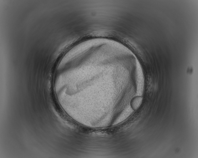 X0000091980586200710041111