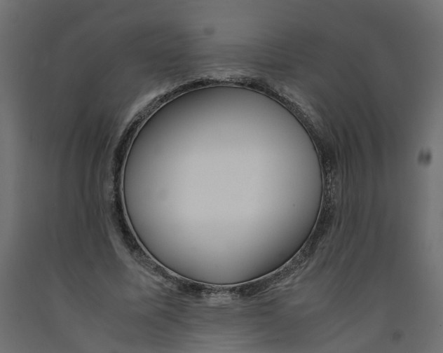 X0000091980587200710041111