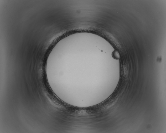 X0000091980588200710041111