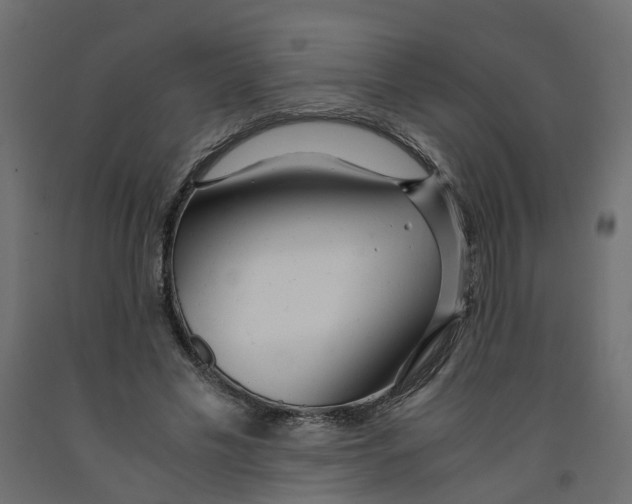 X0000091980589200710041111