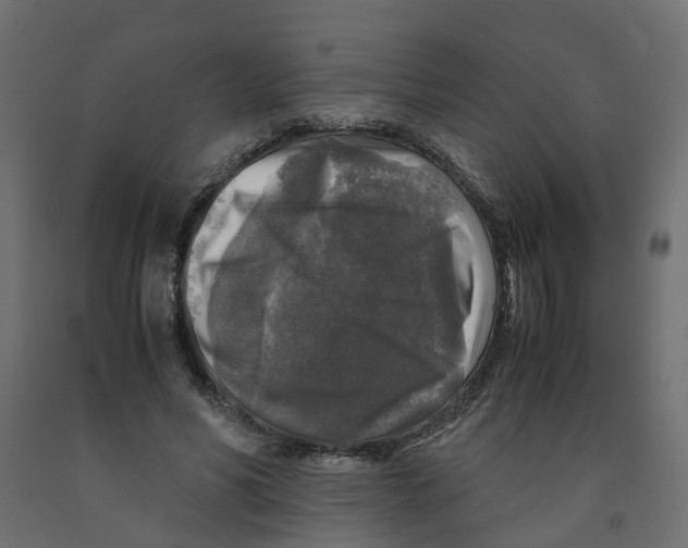 X0000091980590200710041111