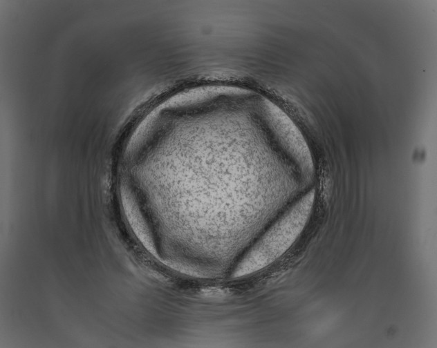 X0000091980591200710041111