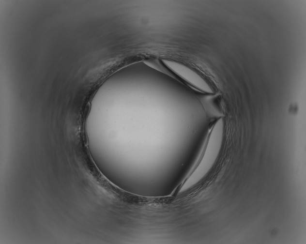 X0000091980593200710041111