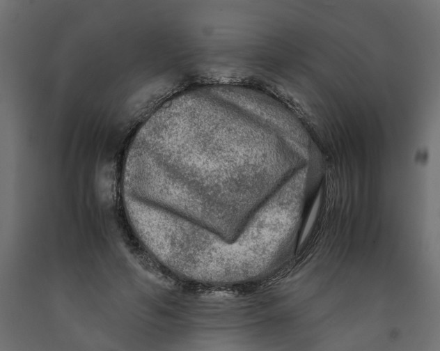 X0000091980594200710041111